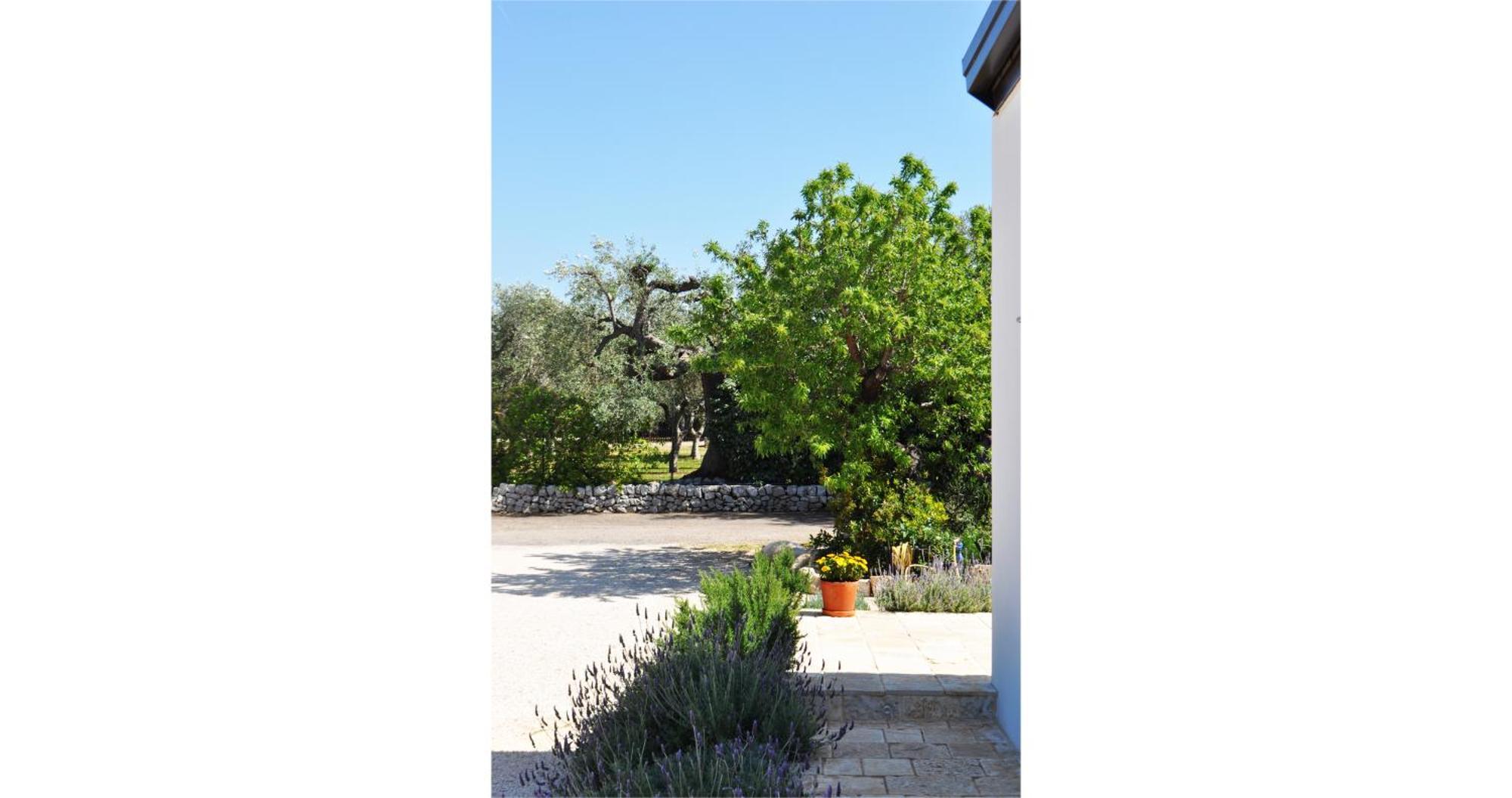 モノーポリ Casale Petrarolo Bed & Breakfast エクステリア 写真