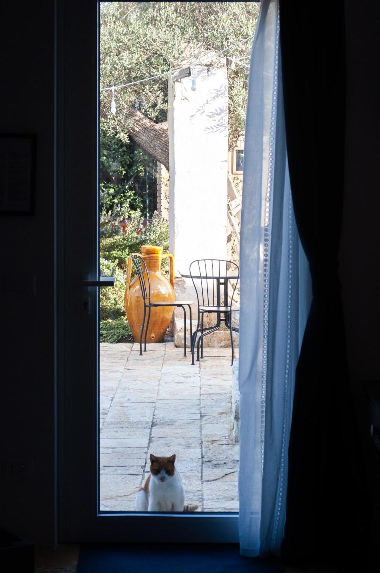 モノーポリ Casale Petrarolo Bed & Breakfast エクステリア 写真